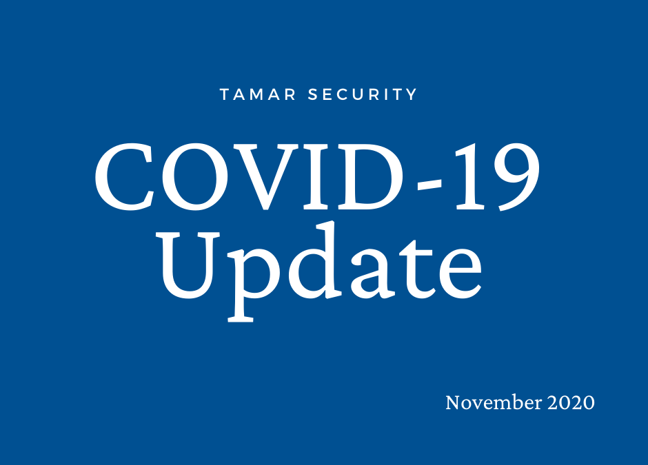 COVID-19 Update: November 2020